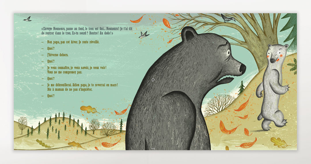 Le petit ours gris de la Mauricie