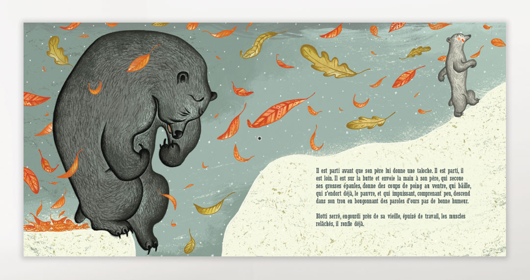 Le petit ours gris de la Mauricie