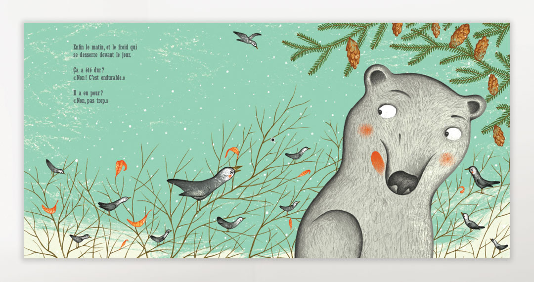 Le petit ours gris de la Mauricie